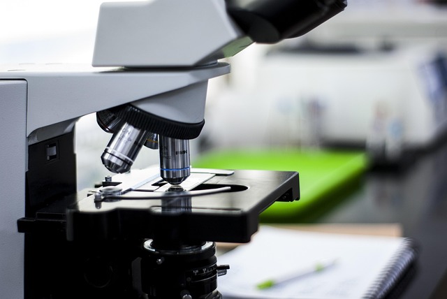 異辛酸鉀/3164-85-0,可用于調(diào)節(jié)硬泡的起發(fā)和凝膠時間,優(yōu)化工藝