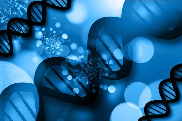 軟泡聚醚多元醇,實現聚氨酯泡沫的定制化性能和更長的使用壽命